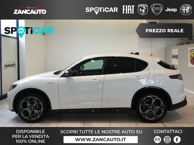 immagine non disponibile