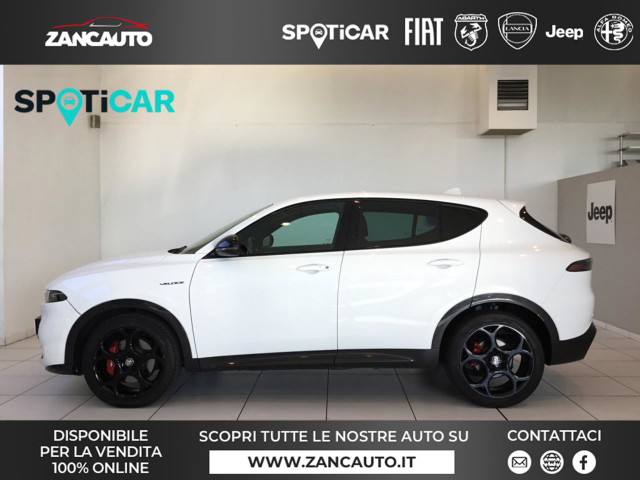immagine non disponibile