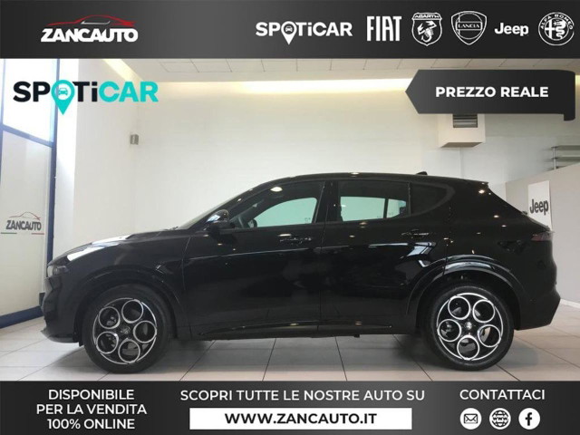 immagine non disponibile