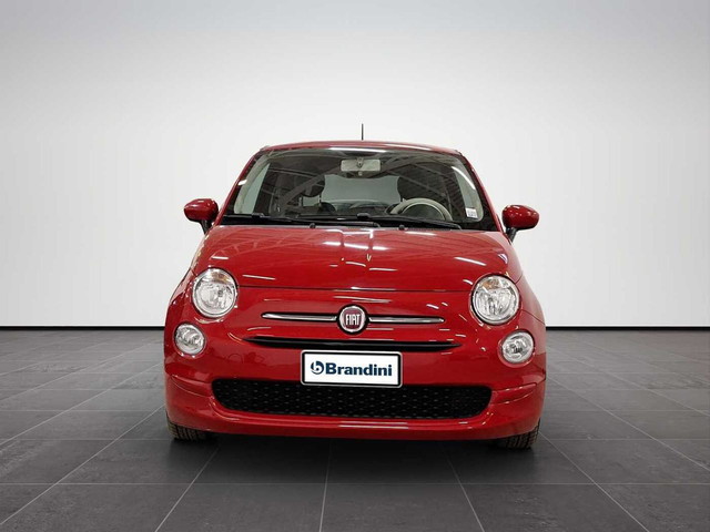 immagine non disponibile