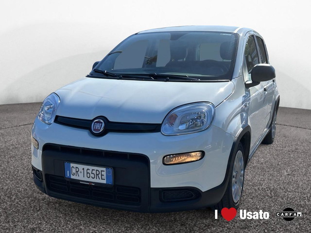 immagine non disponibile