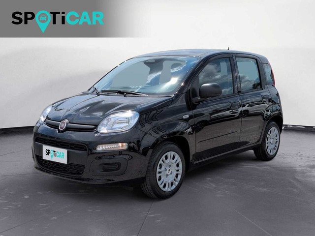 immagine non disponibile