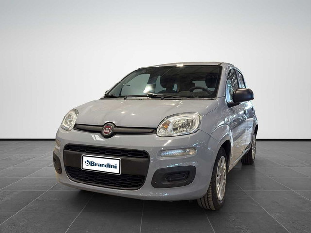 immagine non disponibile