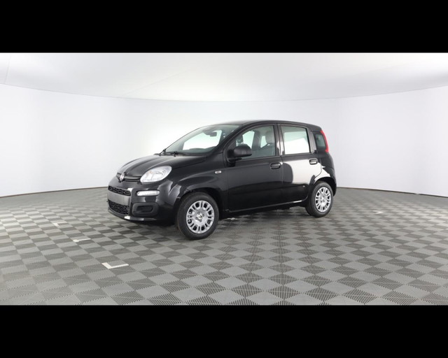 immagine non disponibile