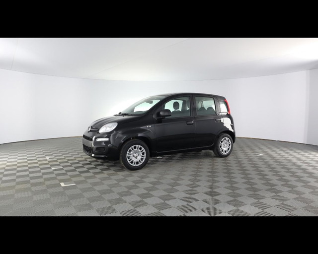 immagine non disponibile