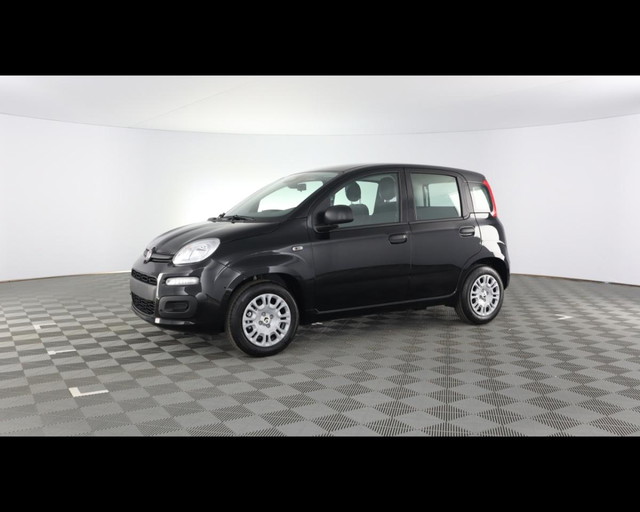 immagine non disponibile