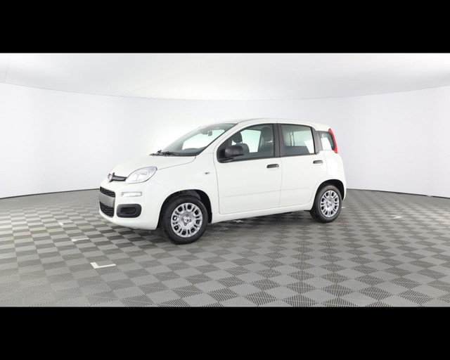 immagine non disponibile