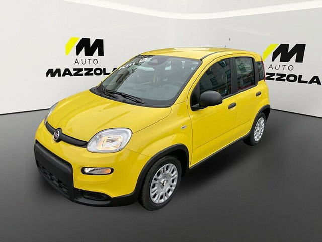 immagine non disponibile