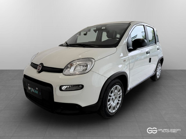 immagine non disponibile