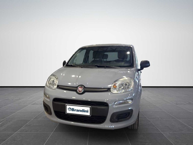 immagine non disponibile