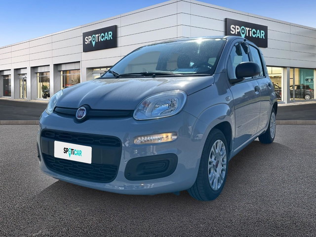 immagine non disponibile