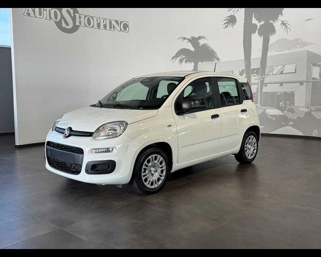 immagine non disponibile