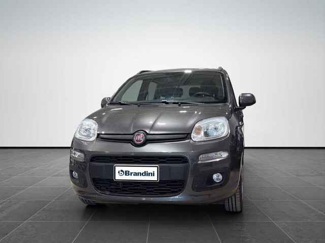 immagine non disponibile