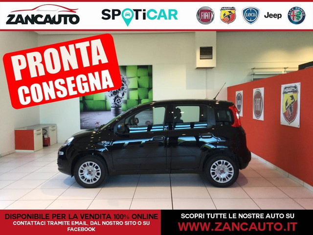 immagine non disponibile