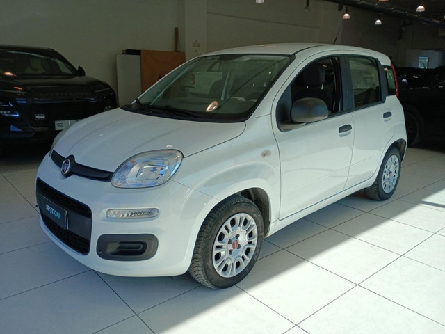 immagine non disponibile