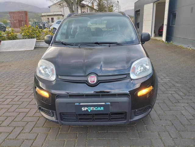 immagine non disponibile