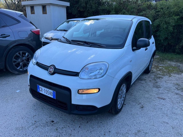 immagine non disponibile