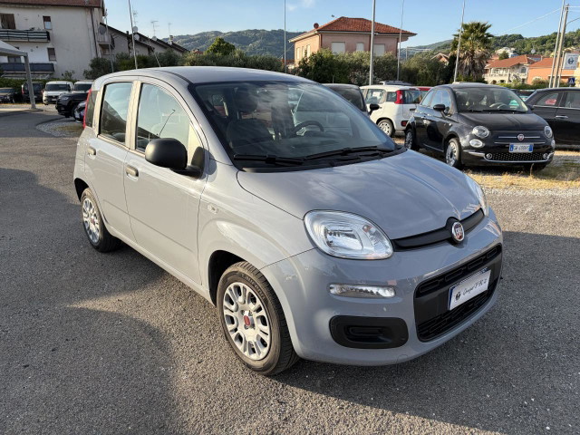immagine non disponibile