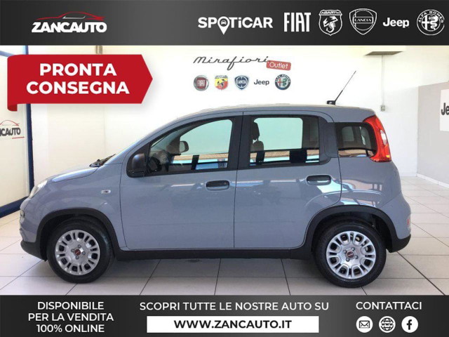 immagine non disponibile