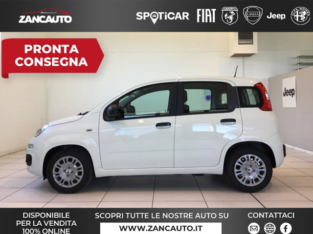 immagine non disponibile