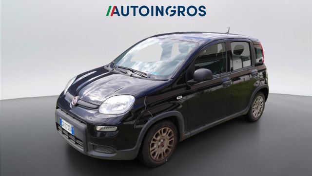 immagine non disponibile