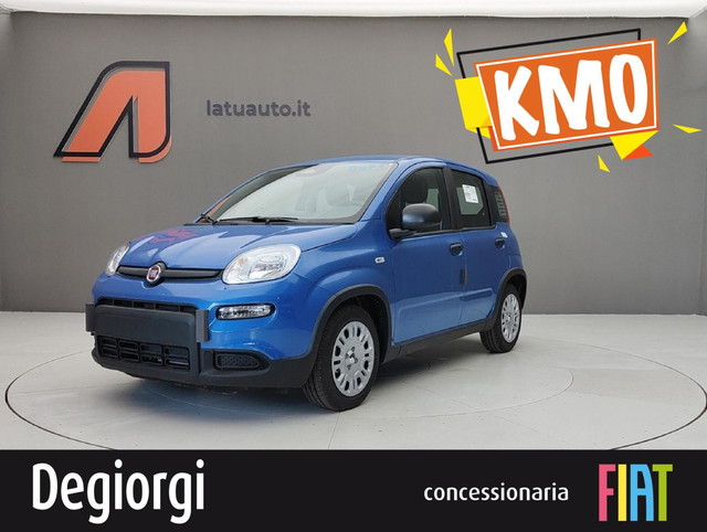 immagine non disponibile