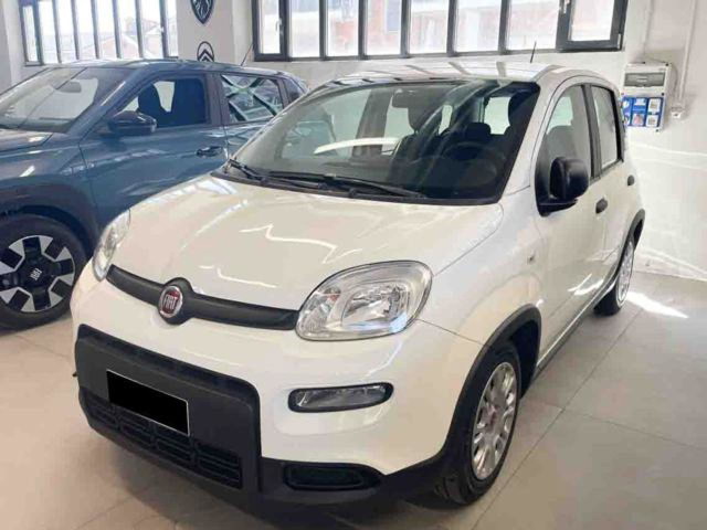 immagine non disponibile