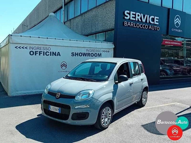 immagine non disponibile
