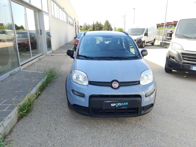 immagine non disponibile