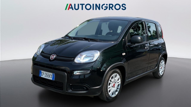 immagine non disponibile
