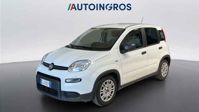 immagine non disponibile