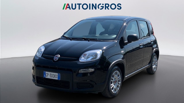 immagine non disponibile