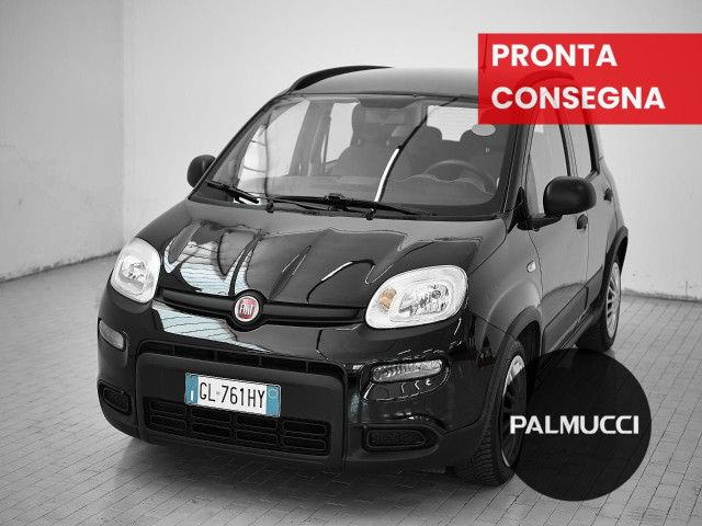 immagine non disponibile