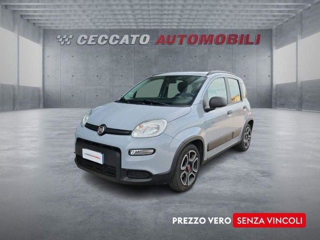 immagine non disponibile