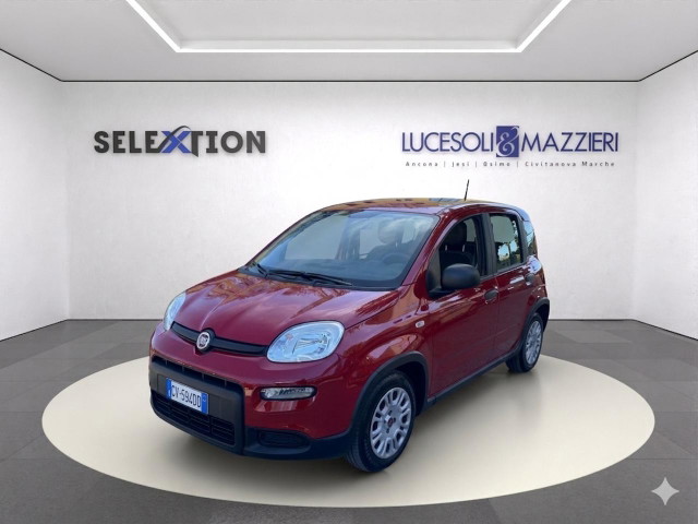 immagine non disponibile