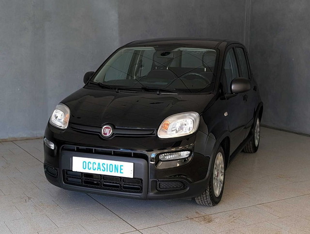 immagine non disponibile