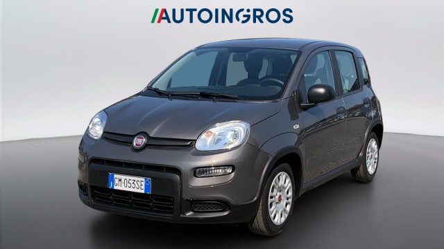 immagine non disponibile
