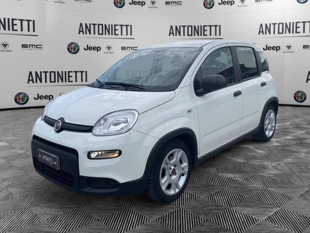 immagine non disponibile