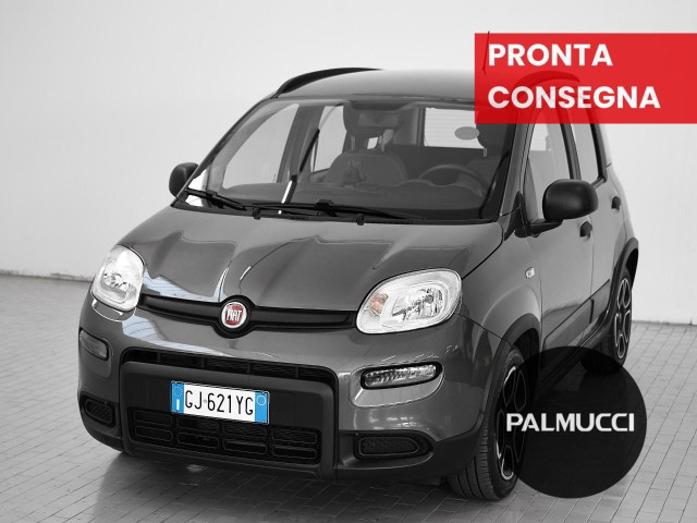 immagine non disponibile