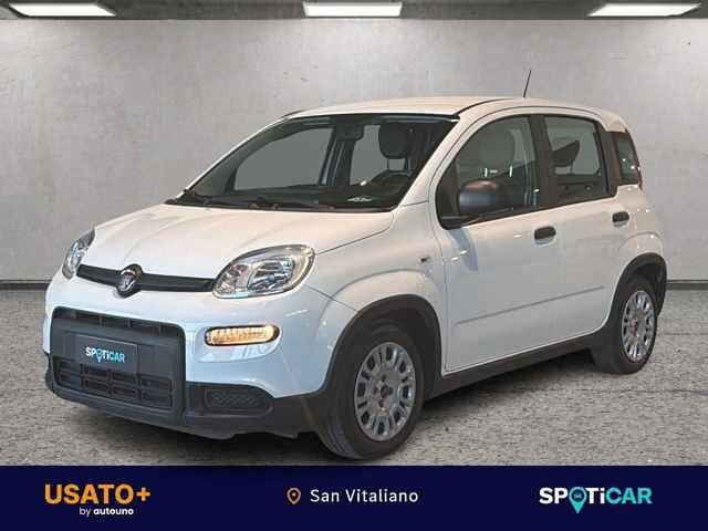 immagine non disponibile