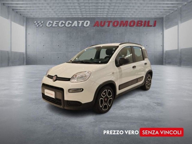 immagine non disponibile