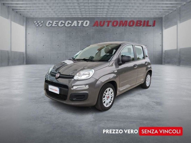immagine non disponibile