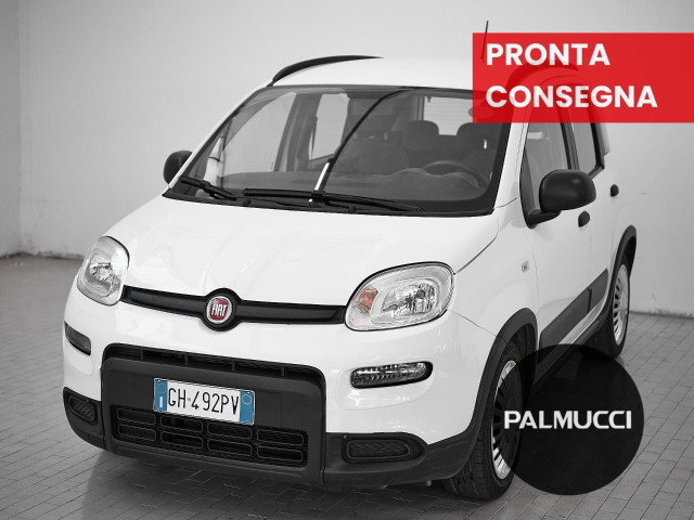 immagine non disponibile