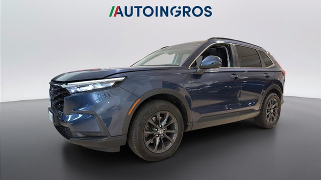 immagine non disponibile