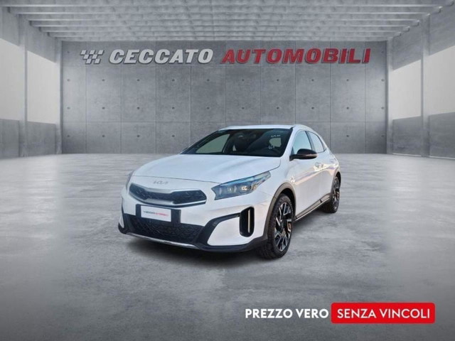 immagine non disponibile