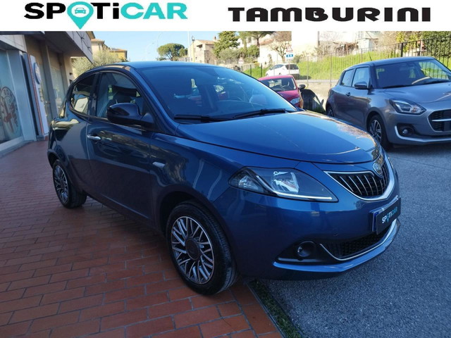 immagine non disponibile