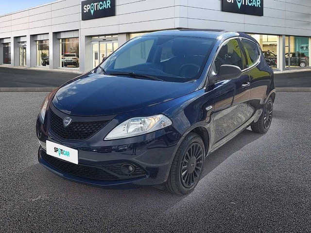 immagine non disponibile