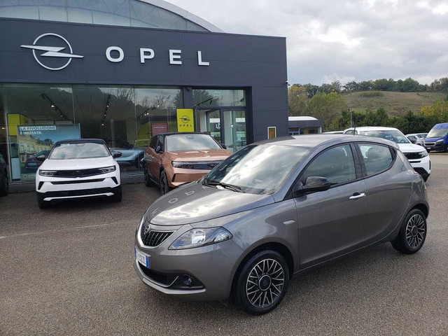 immagine non disponibile