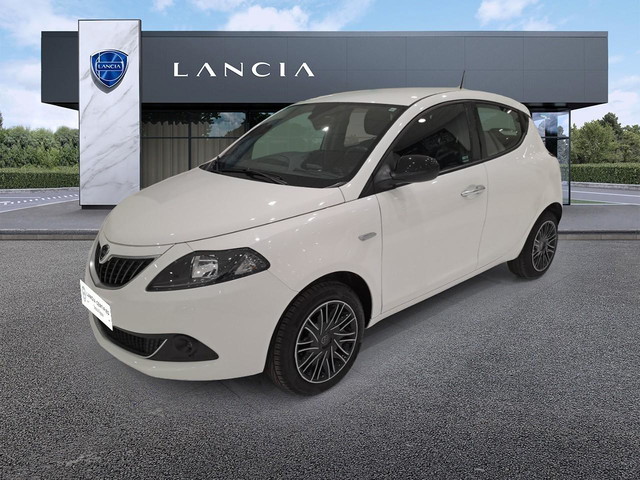 immagine non disponibile