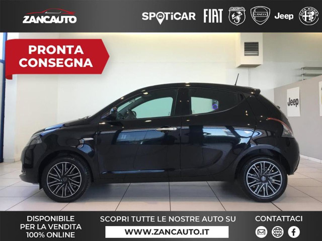 immagine non disponibile